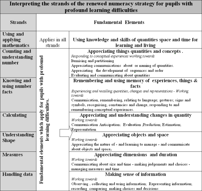 Interpreting strands of the revised numeracy framework